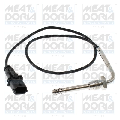 Sensor, exhaust gas temperature
